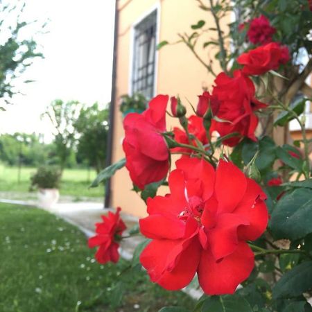 Il "Green " In Giardino Ferrara Exterior photo