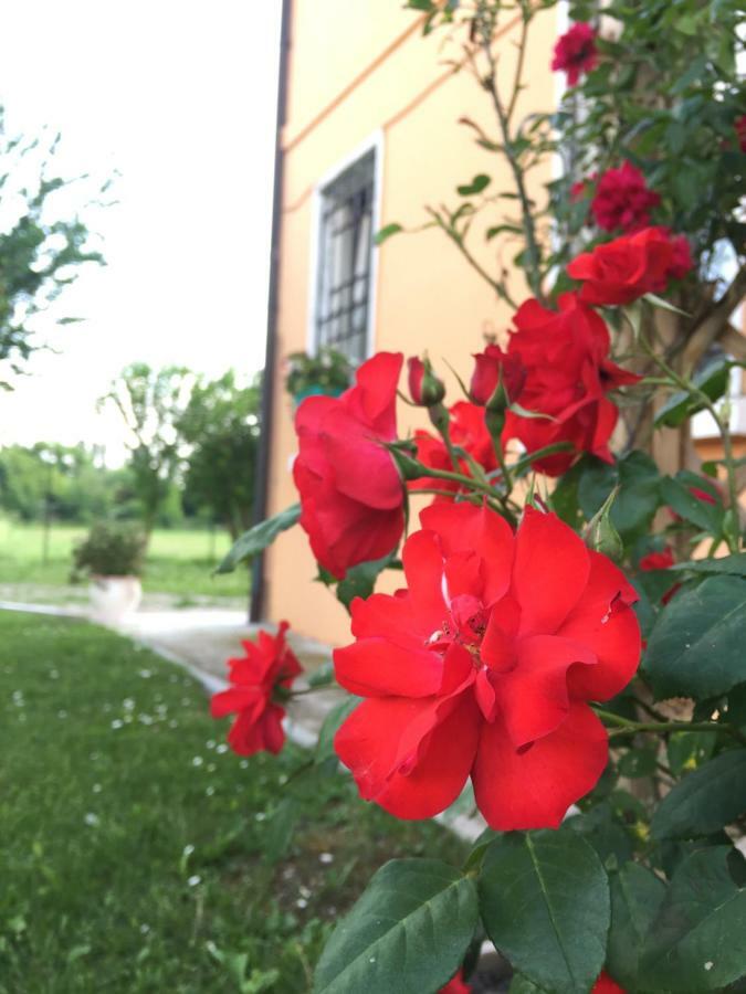Il "Green " In Giardino Ferrara Exterior photo